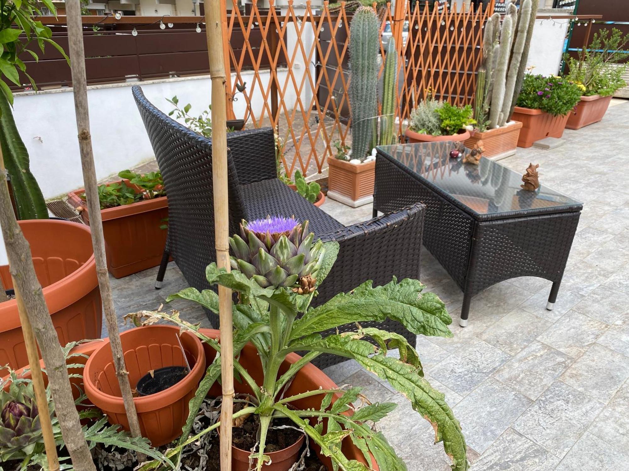 Officinale Rome Apartment, Pineta Sacchetti Exterior photo